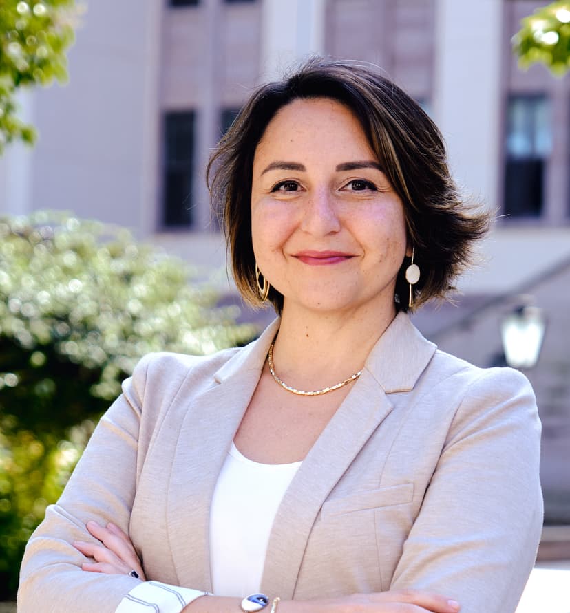 Prof Tuga Bagci-Onder