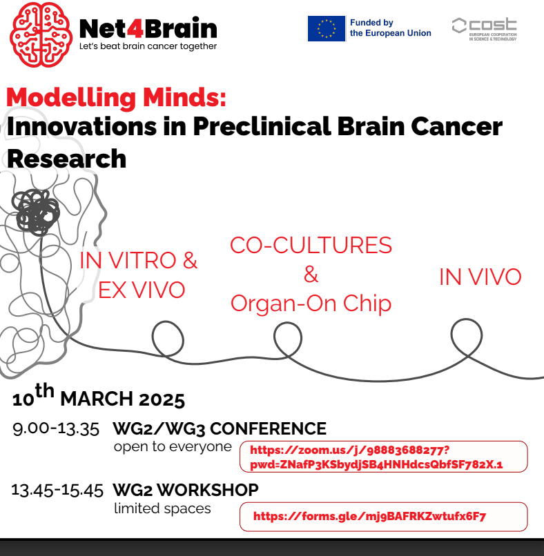 Innovations in Preclinical Brain Cancer Research