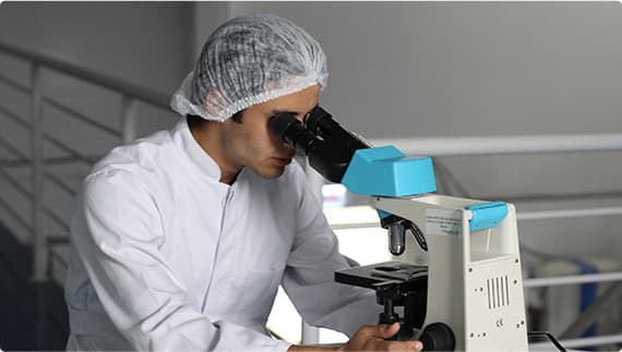 Research team collaboration