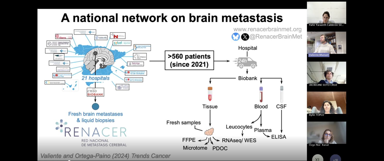 Net4Brain PhD Meeting gallery 7